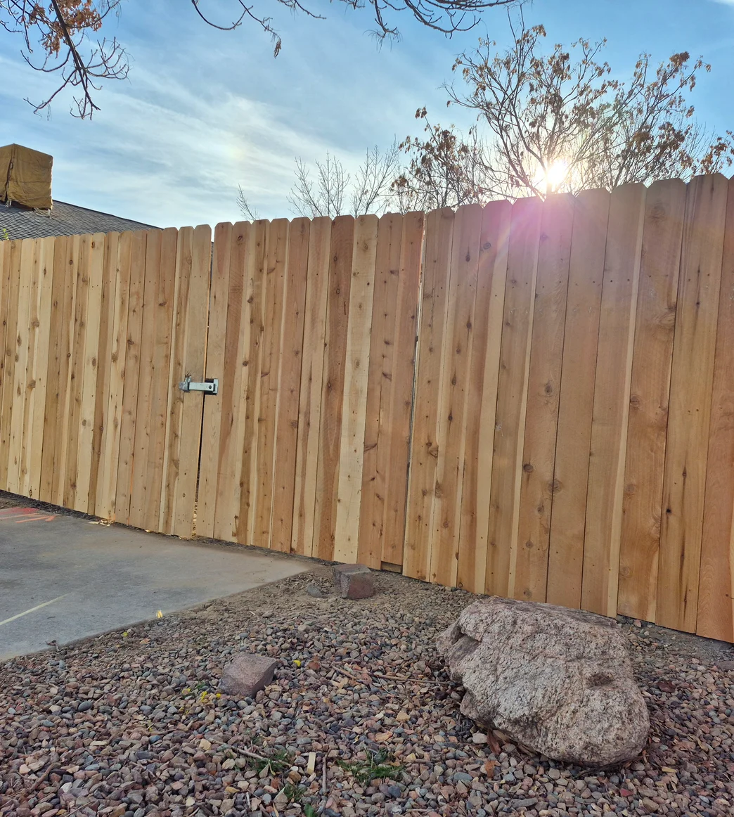 cedar privacy fence in backyard