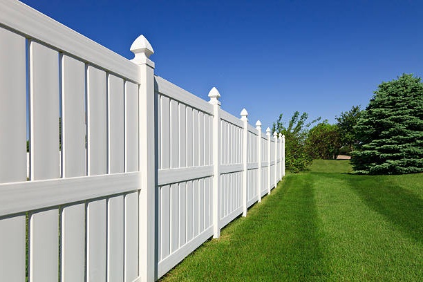 vinyl fence in backyard