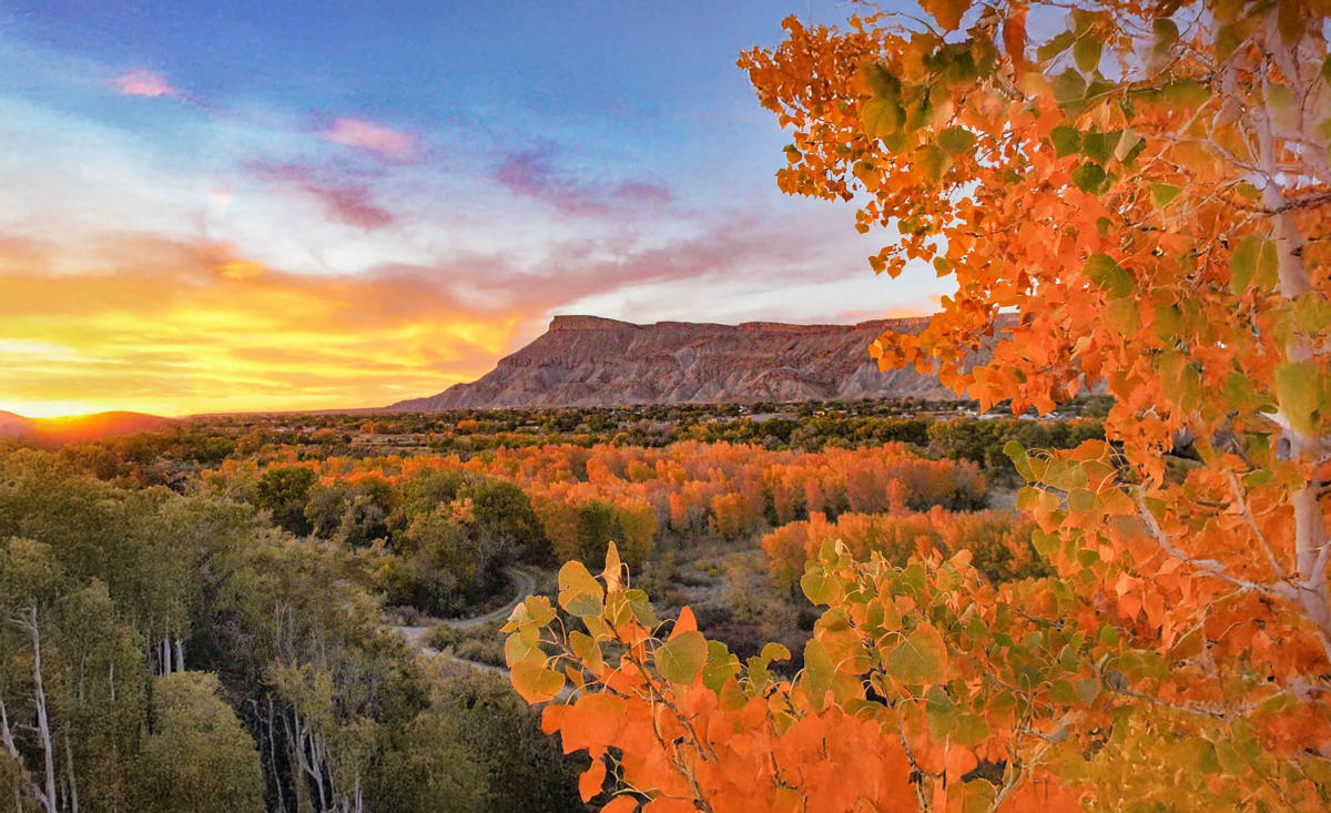 grand junction canyons