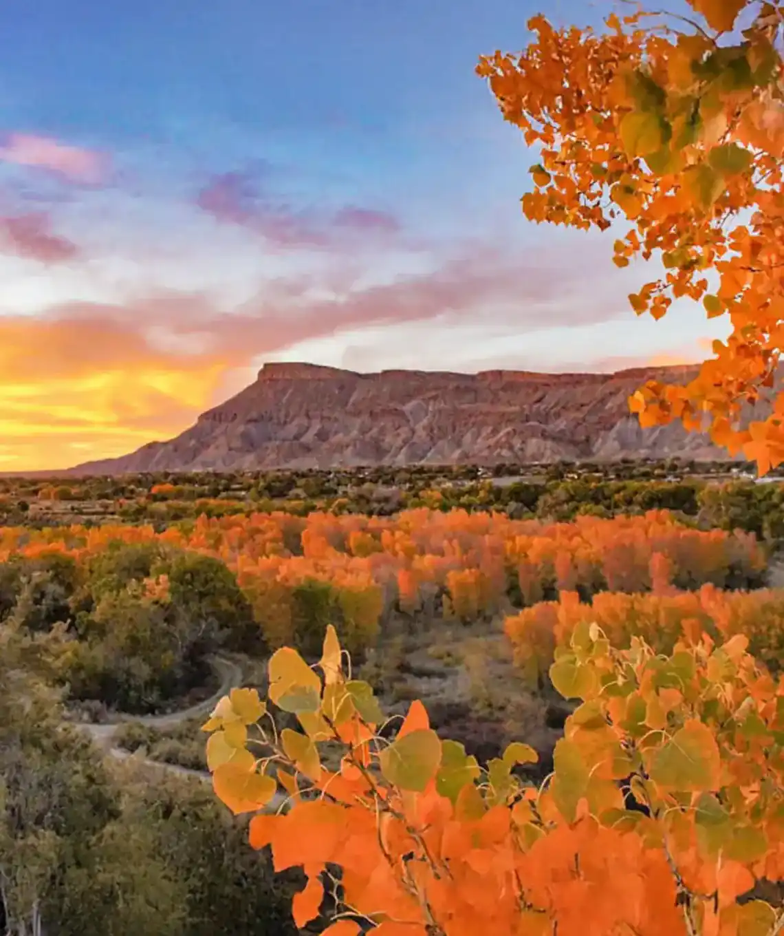 grand junction canyons